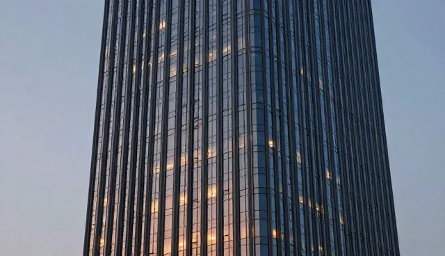 技术支持选型建议:适用场景与限制分析